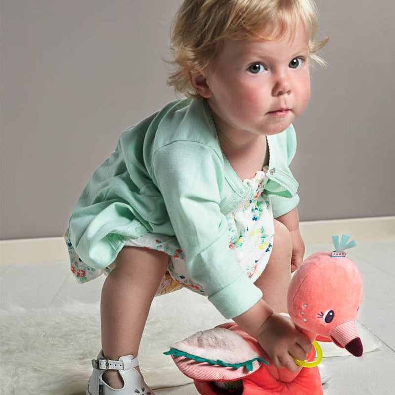 Janod - Anaes - And Her Babies/Et Ses Bebes - Limolin 