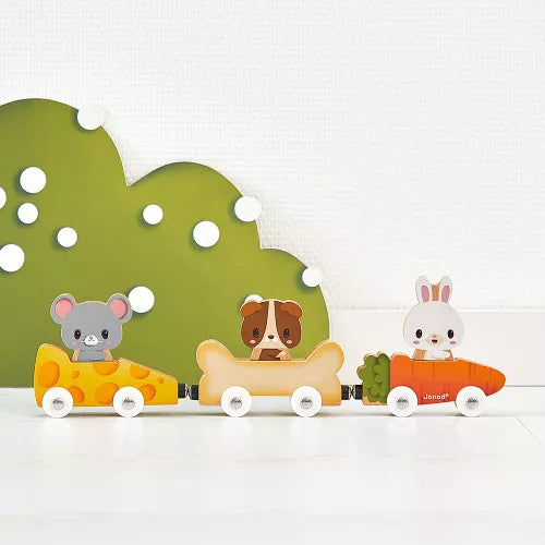 Janod - Farm: Magnetic Pets - Limolin 