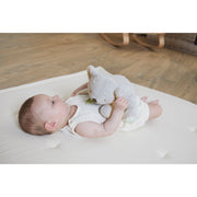 PETIT SONGE: WEIGHTED KOALA - PLUSH
