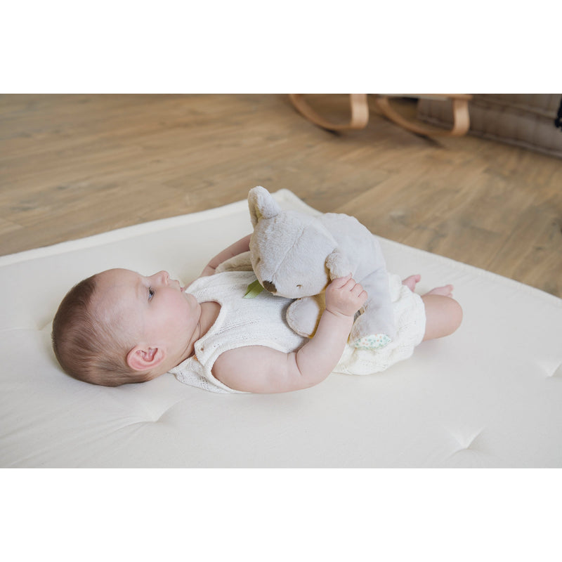 PETIT SONGE: WEIGHTED KOALA - PLUSH
