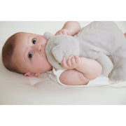 PETIT SONGE: WEIGHTED KOALA - PLUSH
