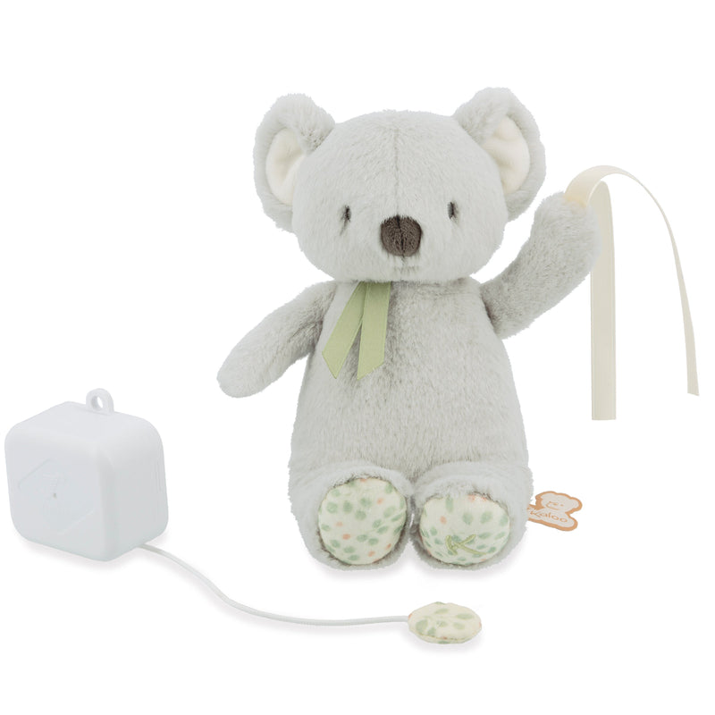 PETIT SONGE: KOALA - MUSICAL
