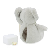PETIT SONGE: KOALA - MUSICAL