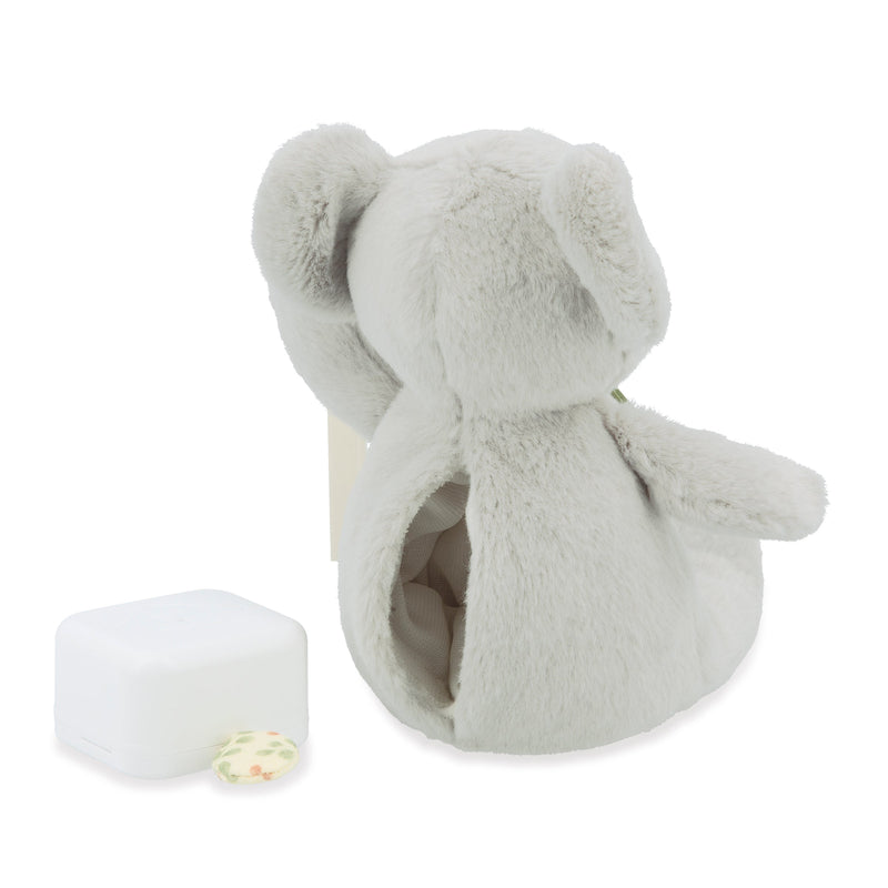 PETIT SONGE: KOALA - MUSICAL