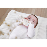 TEETHING RING : RABBIT/DOVES