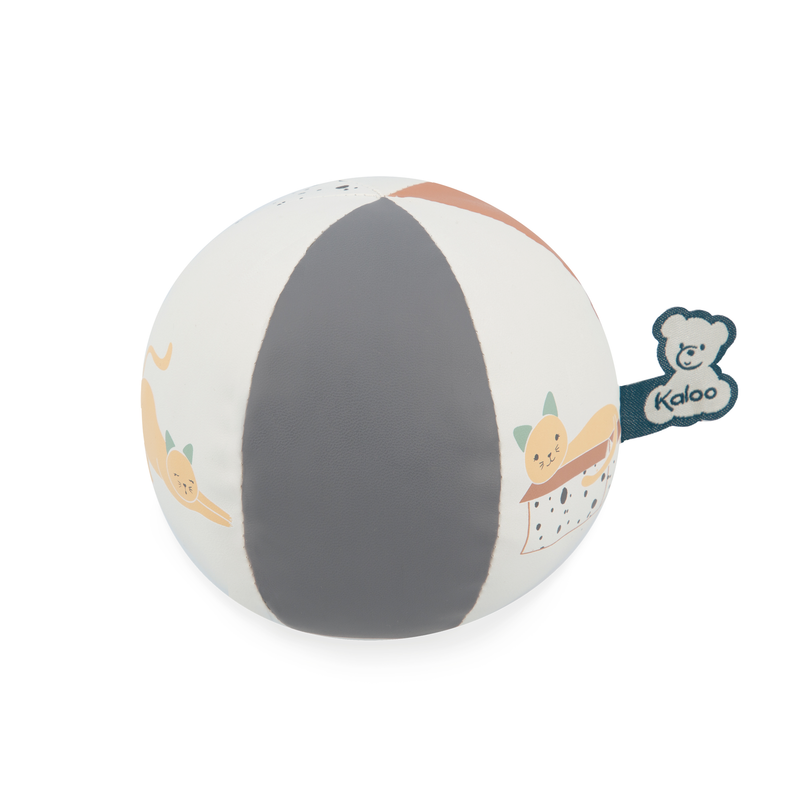 STIMULI: MY BALL - KITTEN