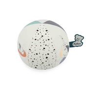 STIMULI: MY BALL - PUPPY