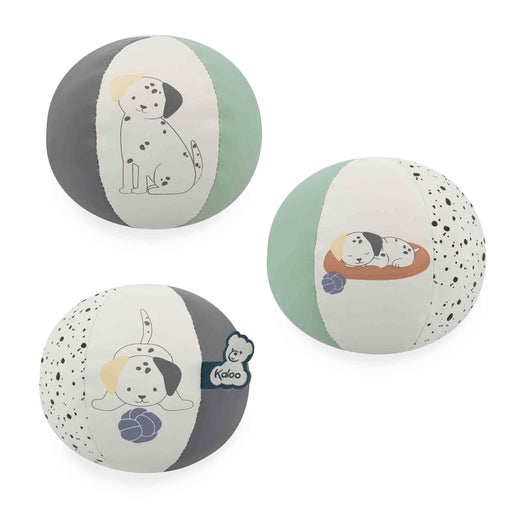 STIMULI: MY BALL - PUPPY