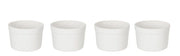 KITCHEN BASICS - Ramekin Set 4/ST - Limolin 