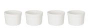 KITCHEN BASICS - Ramekin Set 4/ST - Limolin 