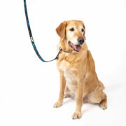 LUG - Fetch Pet Collar and Leash Set - Limolin 