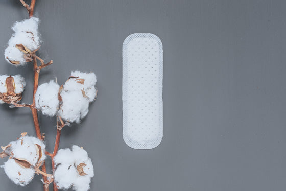 Natracare - Mini Panty Liners 30 Count - Limolin 