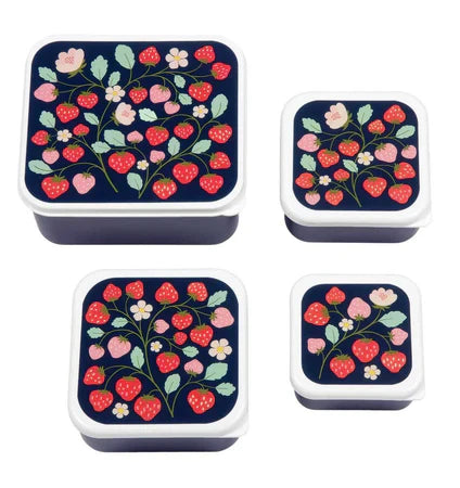 Little Lovely - Lunch And Snack Box Set