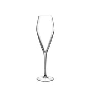 Luigi Bormioli - Atelier - 9.25 oz Champagne Glasses (Set of 6) - Limolin 