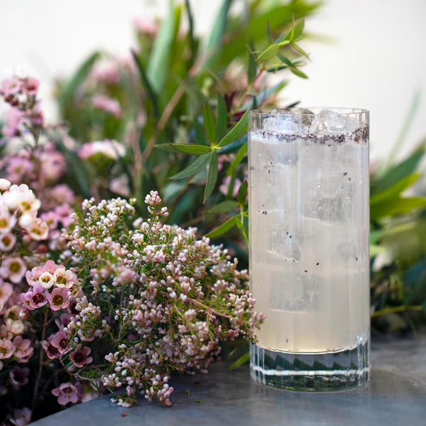 Luigi Bormioli - Bach Highball Glasses (Set of 4) - Limolin 