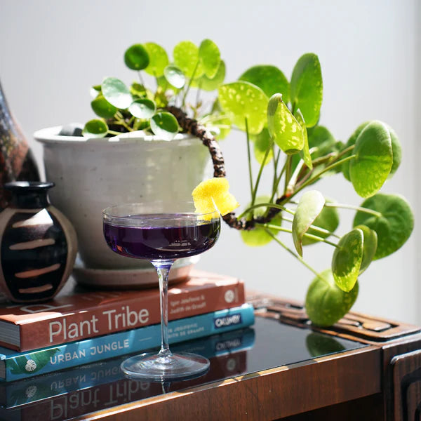 Luigi Bormioli - Jazz - 10 25 oz Cocktail Coupe (Set of 4) - Limolin 