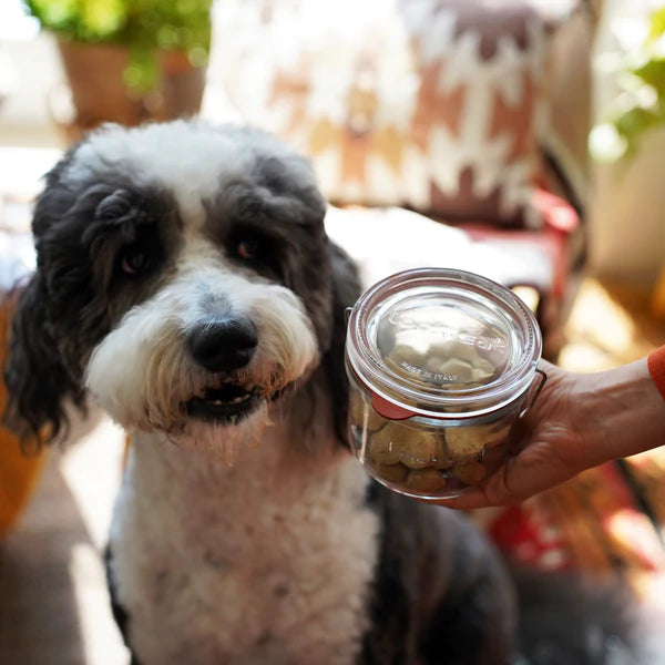 Luigi Bormioli - Lock Eat - 17 oz Food Jar XL - Limolin 