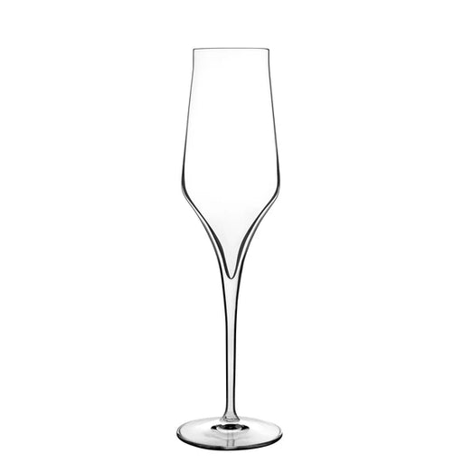 Luigi Bormioli - Supremo - 8 oz Champagne Glasses (Set Of 2) - Limolin 