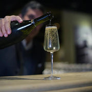 Luigi Bormioli - TALISMANO 7 OZ PROSECCO / SPARKLING SMALL WINE GLASSES (SET of 4) - Limolin 