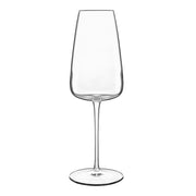 Luigi Bormioli - Talismano 135 oz Prosecco / Sparkling Wine Glasses (Set of 4) - Limolin 