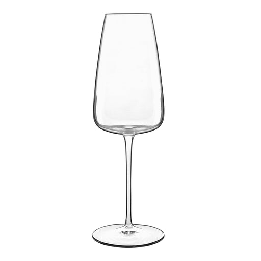 Luigi Bormioli - Talismano 135 oz Prosecco / Sparkling Wine Glasses (Set of 4) - Limolin 