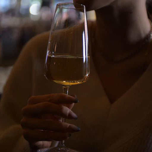 Luigi Bormioli - Talismano 135 oz Prosecco / Sparkling Wine Glasses (Set of 4) - Limolin 