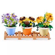 MAX BUILD - GARDEN POT PLANTS - SERIES 1 - Limolin 