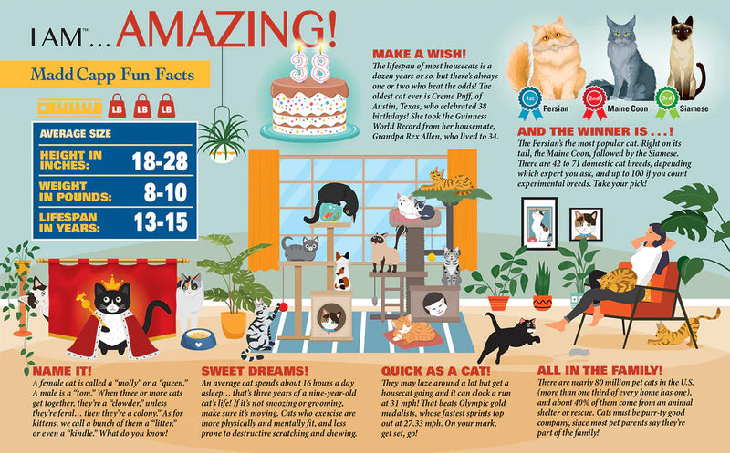 Madd Capp Puzzles - I Am Cat (550 Pc) - Limolin 