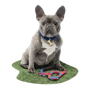 Madd Capp Puzzles - I Am Frenchie (550 Pc) - Limolin 