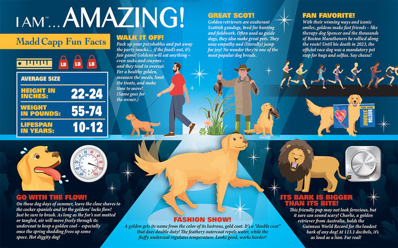 Madd Capp Puzzles - I Am Golden (550 Pc) - Limolin 