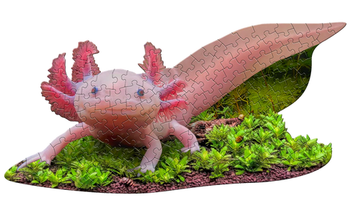 Madd Capp Puzzles - I Am Lil' Axolotl (100 Pc) - Limolin 