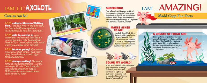 Madd Capp Puzzles - I Am Lil' Axolotl (100 Pc) - Limolin 