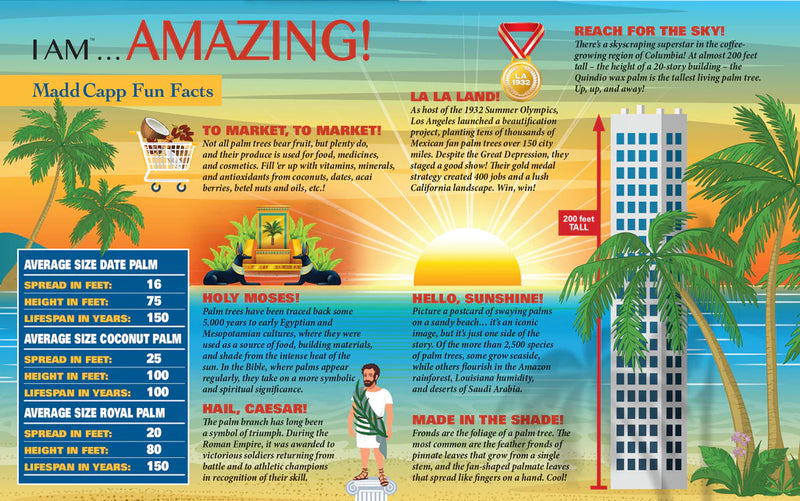 Madd Capp Puzzles - I Am Palm (1000 Pc) - Limolin 