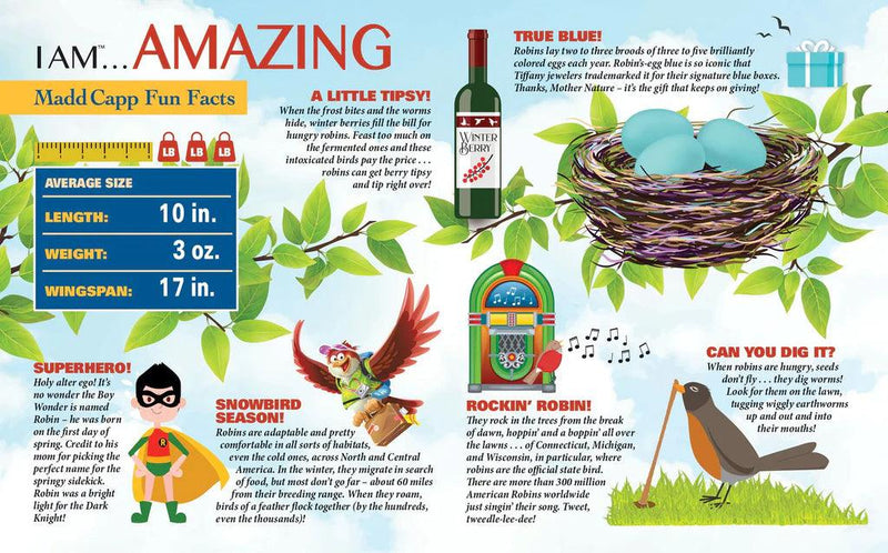 Madd Capp Puzzles - I Am Robin (300 Pc) - Limolin 