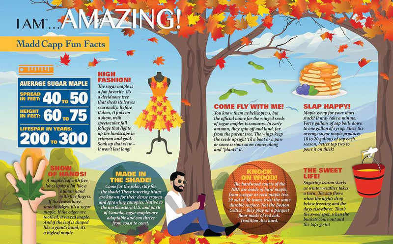Madd Capp Puzzles - I Am Sugar Maple (1000 Pc) - Limolin 
