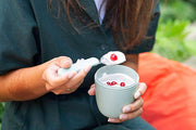 Mepal - Ellipse Lunchpot Mini - Limolin 