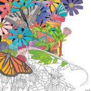 Mindware - Color by Number - Colored Pencils (Set of 36) - Limolin 