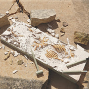 Mindware - Dig It UP! Triceratops Toy - Limolin 