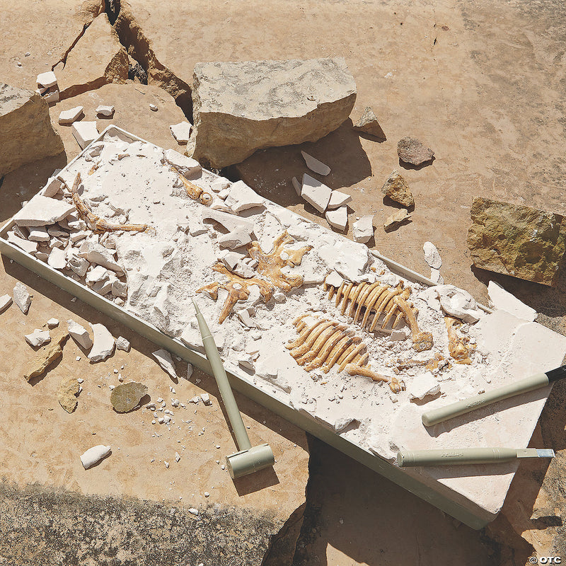 Mindware - Dig It UP! Triceratops Toy - Limolin 