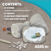 Mindware - Dig It Up! Minerals and Fossils Toy - Limolin 