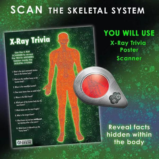 Mindware - Explore STEM with Marie Curie - Limolin 