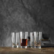 Nachtmann - VIVENDI Shot Glass (Set of 4) - Limolin 