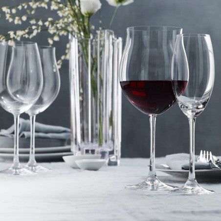 Nachtmann - VIVENDI Stemmed Spirit (Set of 4) - Limolin 