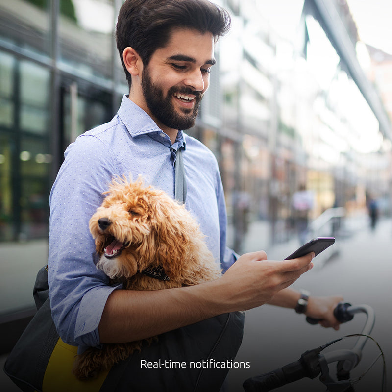 Nexxt - Smart Home - Indoor Camera - White (NHC - I710) - Limolin 