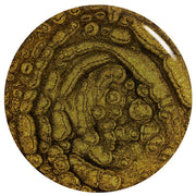 ORLY - Whispered Lore 0.6 Oz/18 Ml Momentary Wonders Holiday Collection 2021 - Limolin 