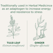 Organic Traditions - Tulsi & Ginger 16bags - Limolin 
