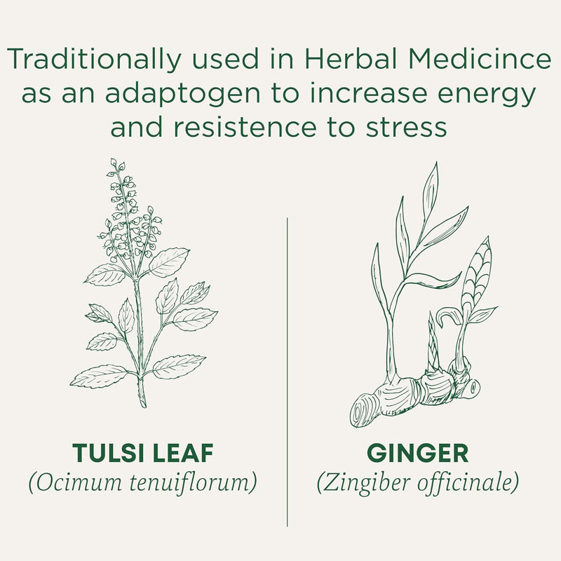 Organic Traditions - Tulsi & Ginger 16bags - Limolin 