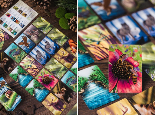 Origames - ÉCOSYSTÈME - FORÊT - Limolin 