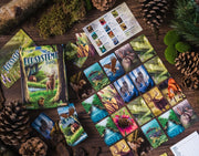 Origames - ÉCOSYSTÈME - FORÊT - Limolin 