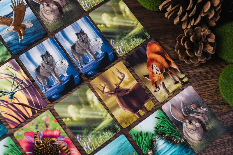 Origames - ÉCOSYSTÈME - FORÊT - Limolin 